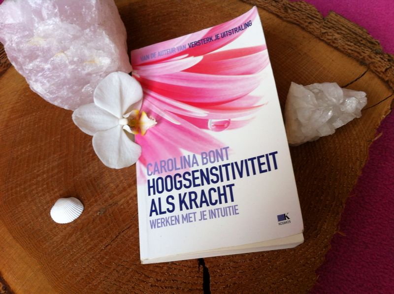 Hoogsentitiviteit als kracht boek