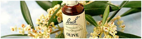 Bach remedies